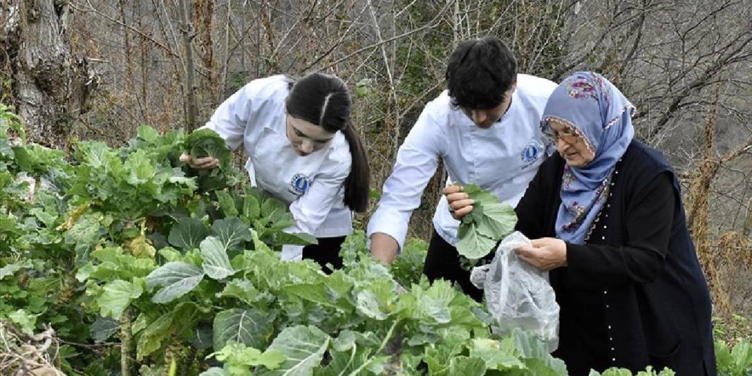Geleceğin şeflerine yerinde eğitim: Tarladan sofraya tüm incelikleri öğreniyorlar 2